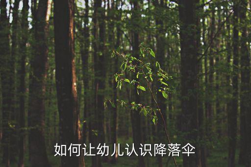如何讓幼兒認識降落傘