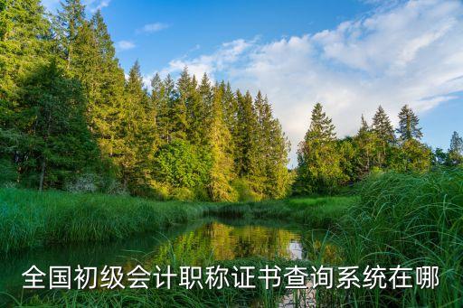 會計初級證書查詢系統(tǒng)，請問一下考過初級證書在哪里查詢