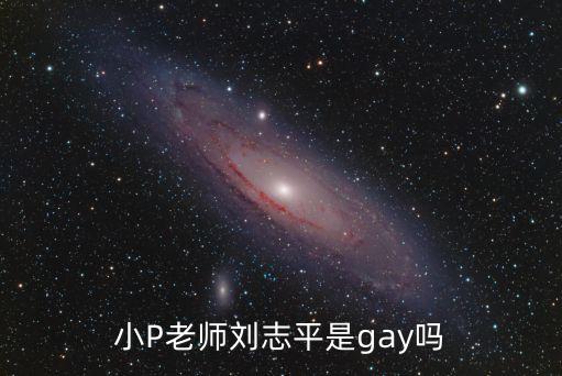 小P老師劉志平是gay嗎