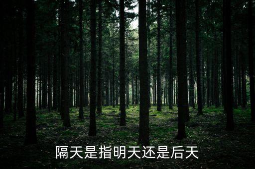 隔天是指明天還是后天，隔天是指明天還是后天