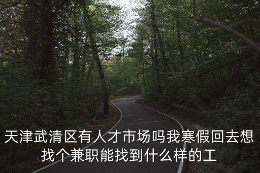天津武清區(qū)有人才市場(chǎng)嗎我寒假回去想找個(gè)兼職能找到什么樣的工