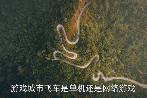 游戲城市飛車是單機還是網(wǎng)絡游戲