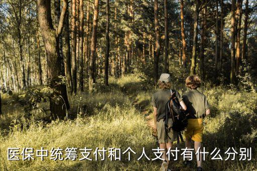 統(tǒng)籌基金支付，醫(yī)保中統(tǒng)籌支付和個人支付有什么分別