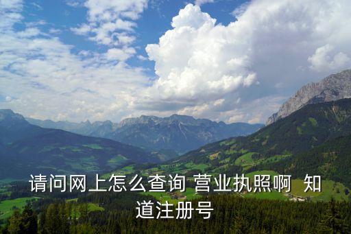 營(yíng)業(yè)執(zhí)照查詢網(wǎng)上查詢，請(qǐng)問(wèn)網(wǎng)上怎么查詢 營(yíng)業(yè)執(zhí)照啊  知道注冊(cè)號(hào)
