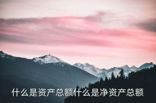 凈資產(chǎn)總額，資產(chǎn)總額和凈資產(chǎn)總額有什么區(qū)別分別怎么計(jì)算