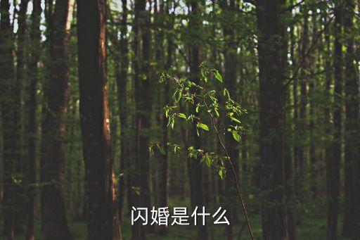閃婚，閃婚是什么