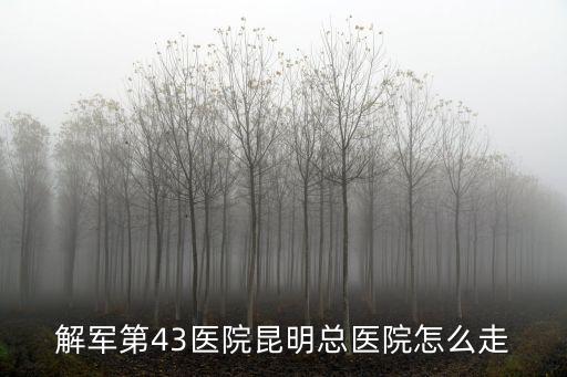 解軍第43醫(yī)院昆明總醫(yī)院怎么走