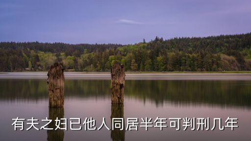 有夫之婦2，電影有夫之婦和部落酋領(lǐng)的愛戀求電影名字