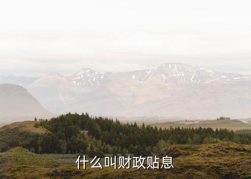 財政貼息，政府貼息貸款是什么意思