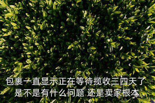 包裹一直顯示正在等待攬收三四天了 是不是有什么問題 還是賣家根本