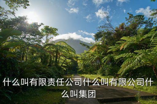 什么叫有限責(zé)任公司什么叫有限公司什么叫集團(tuán)