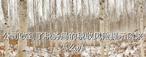 公司收到了稅務(wù)局的稅收風(fēng)險(xiǎn)提示函該怎么辦