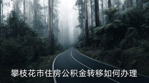 攀枝花市住房公積金轉(zhuǎn)移如何辦理