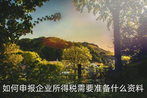 如何申報(bào)企業(yè)所得稅需要準(zhǔn)備什么資料
