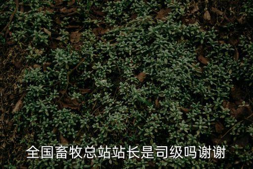 司級(jí)，中國(guó)部門之上是不是司級(jí)的