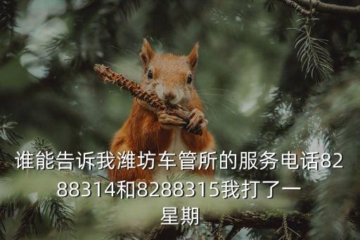 誰能告訴我濰坊車管所的服務(wù)電話8288314和8288315我打了一星期