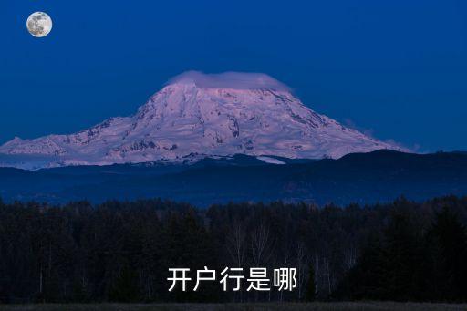 開戶行是哪