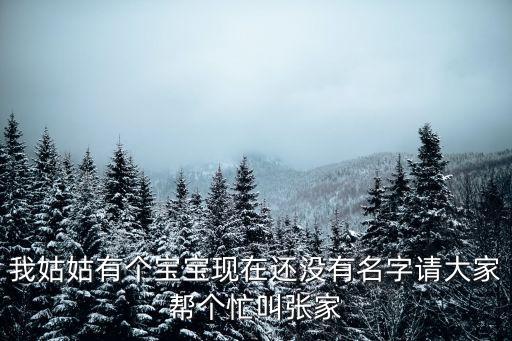 張家浩，我要參加辯論賽需要把名字設(shè)計(jì)的有特色我叫張家浩急需
