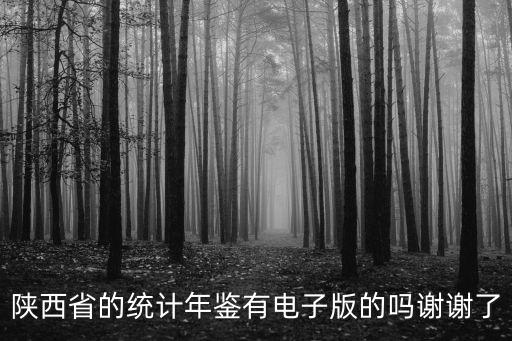 陜西省的統(tǒng)計(jì)年鑒有電子版的嗎謝謝了