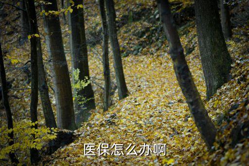 醫(yī)保怎么辦啊