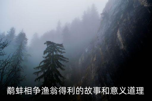 鷸蚌相爭(zhēng)漁翁得利的故事和意義道理
