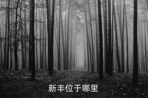 新豐位于哪里