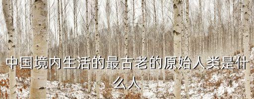 中國(guó)境內(nèi)生活的最古老的原始人類是什么人