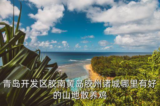 膠州的野雞哪里多，哪個城市養(yǎng)山雞野雞的最多啊