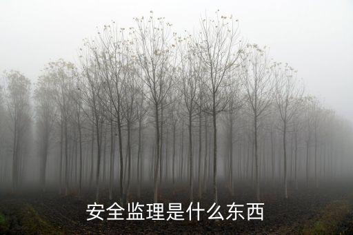 安全監(jiān)理，安全監(jiān)理的作用