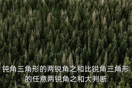 任意之，三角形任意兩邊之差小于第三邊不能組成三角形對不對
