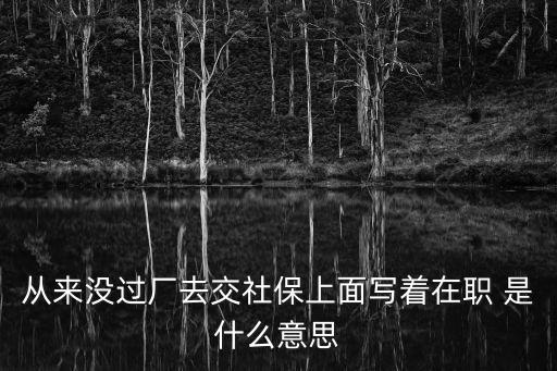 在職是什么意思，在職什么意思