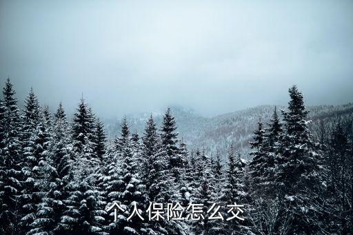 個(gè)人保險(xiǎn)怎么交