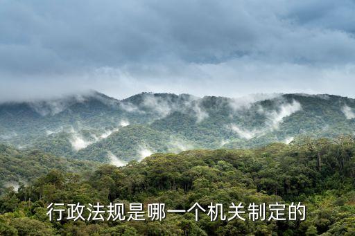 條例由誰制定，治安管理處罰條例是由哪一個國家機關(guān)制定的