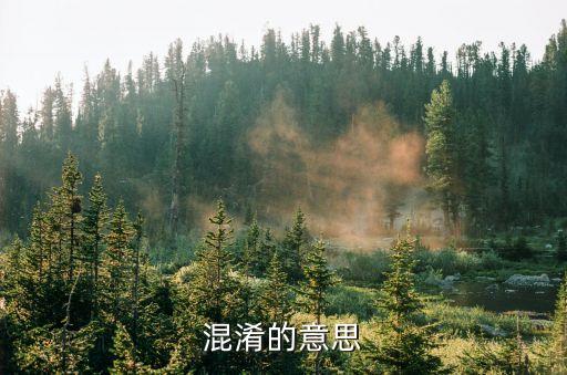 混淆，混淆的意思