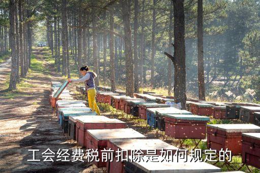 工會(huì)經(jīng)費(fèi)稅前扣除是如何規(guī)定的