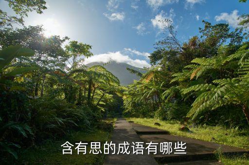 含有思的成語有哪些