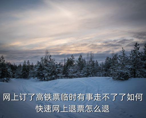 高鐵退票，高鐵票如何退票