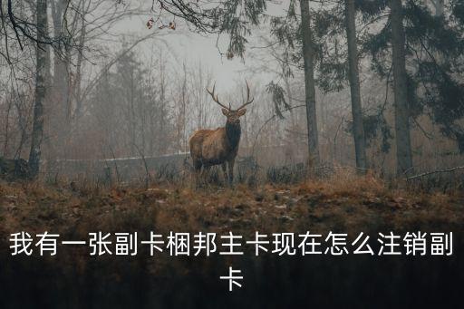 副卡怎么注銷，我有一張副卡梱邦主卡現(xiàn)在怎么注銷副卡