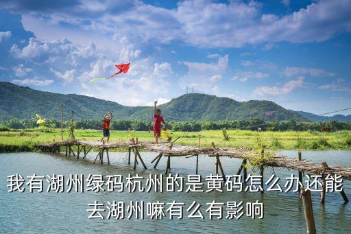 我有湖州綠碼杭州的是黃碼怎么辦還能去湖州嘛有么有影響
