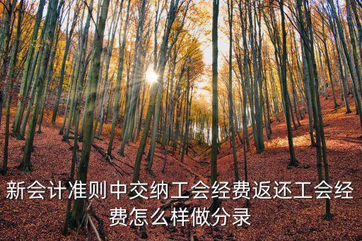 新會計準則中交納工會經(jīng)費返還工會經(jīng)費怎么樣做分錄