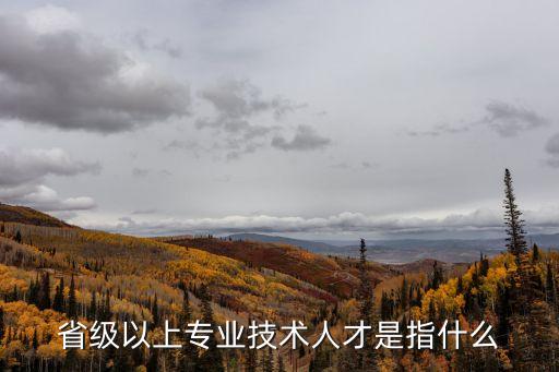 省級(jí)以上專業(yè)技術(shù)人才是指什么