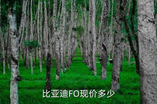 實(shí)用版，實(shí)用的安卓apk大家推薦一下