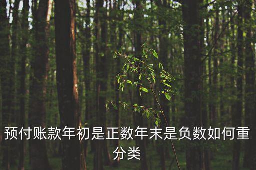 預(yù)付賬款年初是正數(shù)年末是負(fù)數(shù)如何重分類
