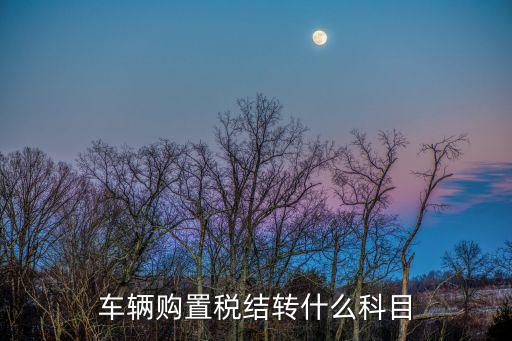 車輛購(gòu)置稅計(jì)入什么科目，車輛購(gòu)置稅記入哪個(gè)會(huì)計(jì)科目