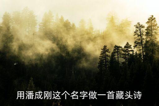 潘成剛，討教大學(xué)的六西格瑪課程認(rèn)證難度大嗎