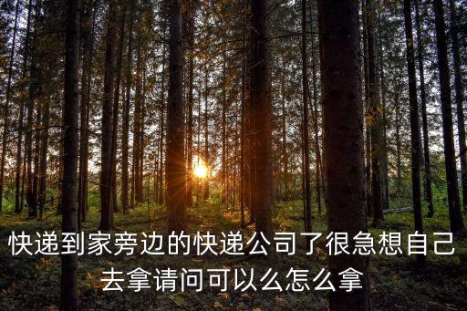 拿快遞，快遞到家旁邊的快遞公司了很急想自己去拿請(qǐng)問可以么怎么拿