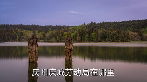 慶陽(yáng)市人力資源和社會(huì)保障局，甘肅省慶陽(yáng)人事網(wǎng)