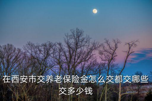 陜西養(yǎng)老保險繳費，陜西寶雞社會養(yǎng)老保險在那里交