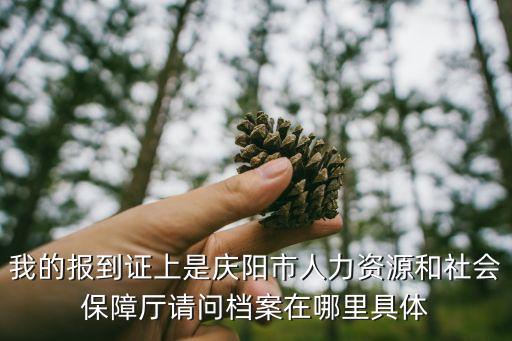 我的報到證上是慶陽市人力資源和社會保障廳請問檔案在哪里具體