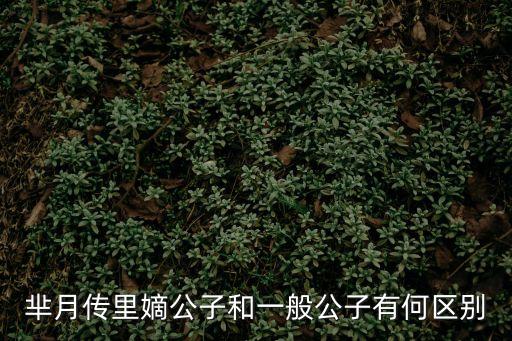 羋月傳里嫡公子和一般公子有何區(qū)別